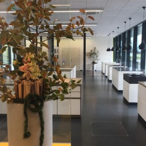 Schaufensterdekoration und Eventdekoration Elisabeth Mitterlehner in Linz